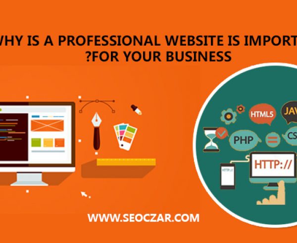 Why-is-a-professional-website-is-important-for-your-business-
