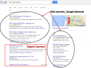 difference between organic and paid search results